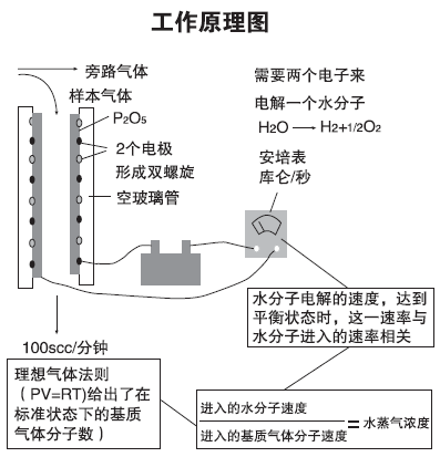 电解法露点仪原理